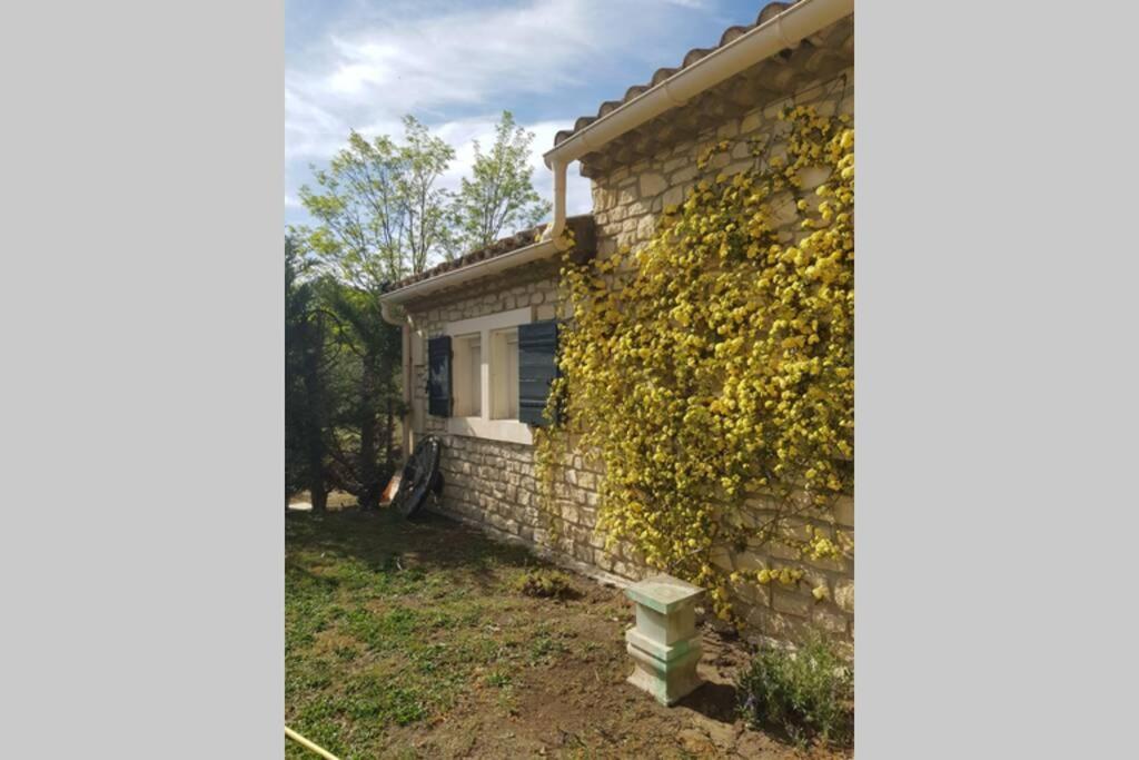Appartement 2 Pers Avec Acces Piscine Saint-Remy-de-Provence Bagian luar foto